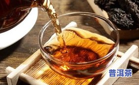 大益普洱茶为何价格昂贵？探究其背后的原因与热销现象