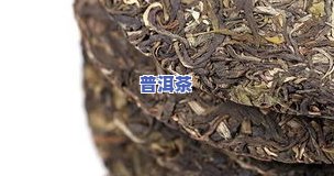 普洱茶、肉桂茶、乌龙茶：口感对比与区别解析