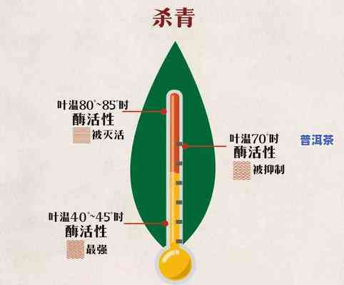 普洱茶除了云南外，其他地方能否生产？探讨其起因与可行性