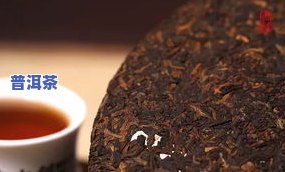 景东老仓福德茶厂：老仓茶品种、珍藏普洱茶与古茶山的历史介绍