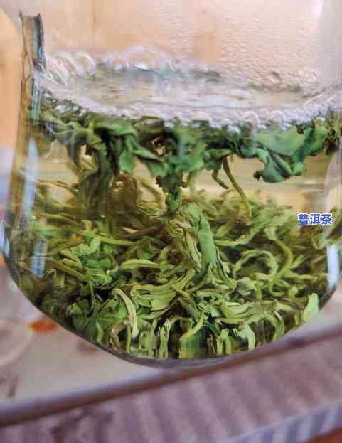 绿茶怎么泡好喝-绿茶怎么泡好喝又甜