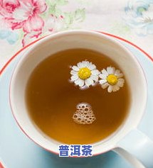 普洱10大名茶产地在哪里？揭秘普洱茶的主要产区