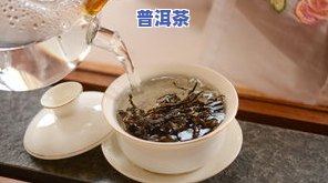 运动时喝普洱茶对身体有何影响？适合男女饮用吗？有助于减肥吗？