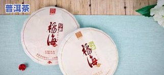 普洱茶印象是什么意思-普洱印象茶多少钱一盒