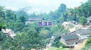 古今六大知名普洱茶山村寨示意图：探秘普洱茶的起源与演变