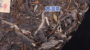 冰岛古树春茶与秋茶的区别：口感、营养、价格全解析