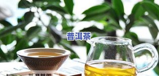 冰雪普洱茶：冰山价目表与普洱冰茶、雪糕价格一览