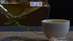 普洱茶的退出期是什么意思-普洱茶的退出期是什么意思啊