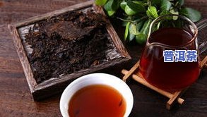 糯香普洱茶图片大全欣赏，了解糯香普洱茶特性与分类