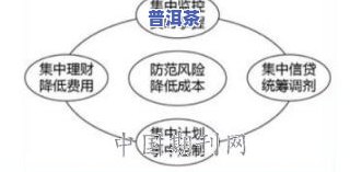 德国普洱茶实验结果全面分析：探讨其现状及前景