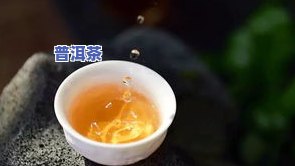 四人份普洱茶泡法：多少量合适？