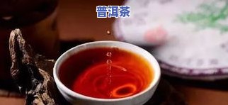 四人份普洱茶泡法：多少量合适？