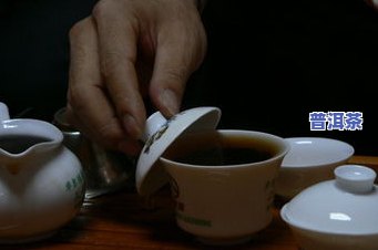 全部普洱茶-普洱茶大全