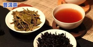 全部普洱茶-普洱茶大全