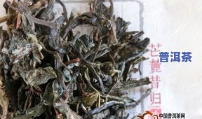 昔归普洱茶价格375克：生茶多少钱一饼？功效与特点解析