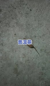 茶叶虫开水能杀死吗？有吗？如何处理？