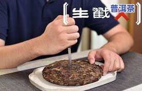 7592普洱茶：价格、简介与砖型全解