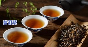 老熟普洱茶的功效、主治与作用及其禁忌全解析