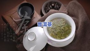 铁树茶：功效、价格、用价值与治疗效果全解析