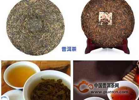 普洱茶问题全解析：问题、对策及名贵品种介绍