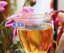 茶叶普洱茶旗舰店官网电话及地址一览