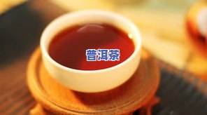 泉州普洱茶上哪买比较好-泉州普洱茶上哪买比较好喝