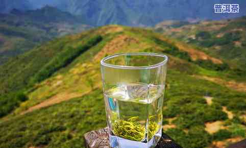 三河茶舍：品尝优质三河茶、茶干的好去处