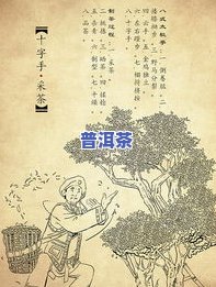 普洱茶插画导图高清大图-普洱茶插画导图高清大图