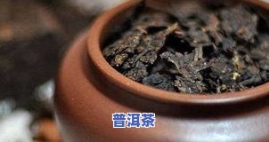 今大福普洱茶怎么泡制-今大福 普洱茶