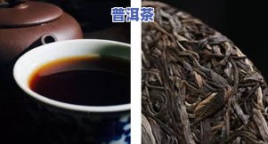 古树普洱茶能存放几年时间-古树普洱茶能存放几年时间吗