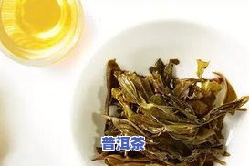 普洱茶景天-景天普洱茶功效与作用