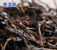 辽宁普洱茶在哪里进货？寻找更便宜的源头厂家直销！