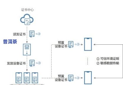 普洱茶的概念及定义：特征与特点解析