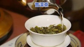 普洱茶：早上喝好还是下午？专家解析更佳饮用时间