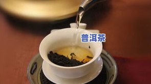 生普洱茶能去湿气吗？正确冲泡方法大揭秘！