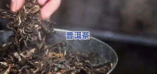 普洱茶弄碎-普洱茶弄碎后怎么存放