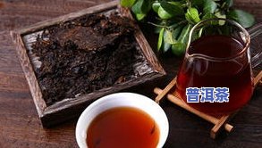 普洱茶核心关键词：揭示其特别价值与关键性