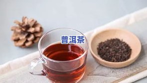 小青柑普洱茶直销店加盟-小青柑普洱茶直销店加盟费多少