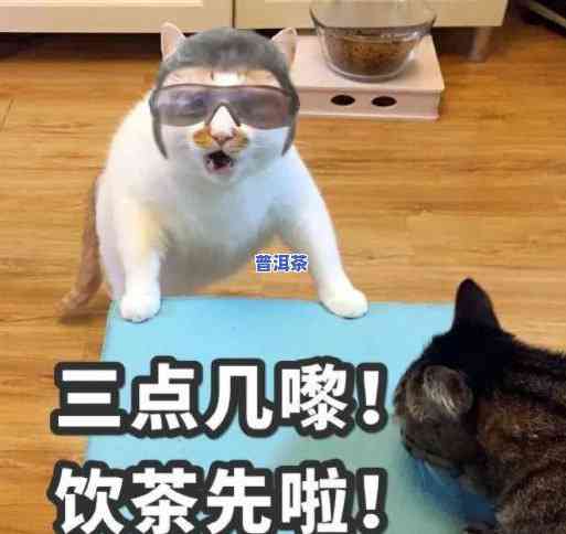 猫能喝茶叶水吗？有无副作用？详细解析