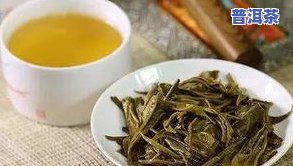 所有的普洱茶都有哪些种类？详解各种类型的普洱茶