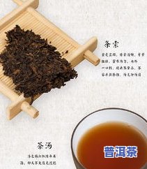 普洱茶首页：普洱茶专业网站，提供最新资讯与官网信息