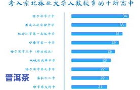 大益六星大白菜：价格、等级全方位解析