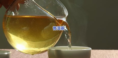 倚邦普洱茶的口感，探索倚邦普洱茶的独特口感：一种独特的品茗体验