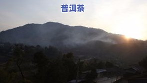 普洱茶性价比高的山头：哪些是最有名的？