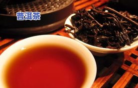 斗技普洱茶产地及价格全揭秘：官方冲泡指南与茶几选择