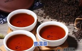 成都人喜欢喝普洱茶吗？原因解析