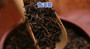 春茶头芽是生普洱茶吗？能喝吗？有吗？图片解析