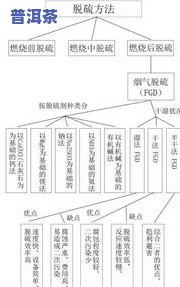 深入了解普洱白茶制作过程：视频、图片与详细工艺流程全解析