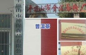 泰顺县民丰茶业产品介绍及价格一览