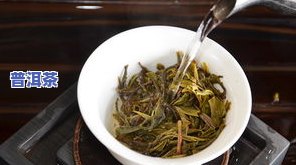 丁家寨普洱茶：包装种类、价格及特点介绍，古树茶多少钱一斤？